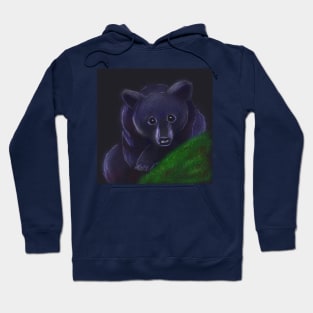 night bear Hoodie